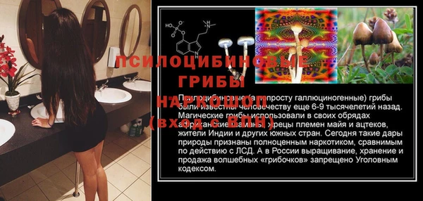 хмурый Карталы