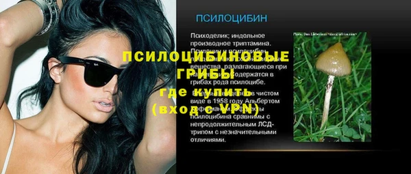 хмурый Карталы