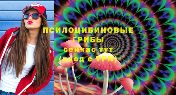 хмурый Карталы