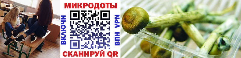 Галлюциногенные грибы Psilocybine cubensis  Купить закладки  Комсомольск 